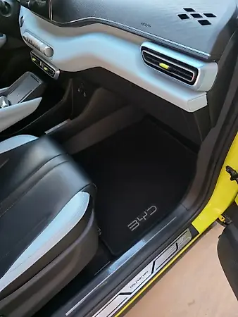 BYD Dolphin Mini - Imagem 13