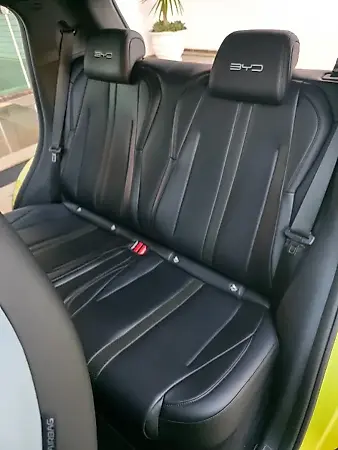 BYD Dolphin Mini - Imagem 16