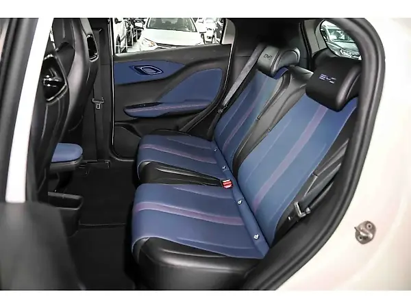 BYD Dolphin Plus - Imagem 9