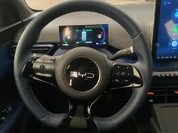 BYD Dolphin Mini - Imagem 12