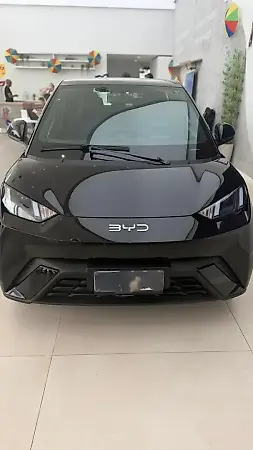BYD Dolphin Mini - Imagem 1