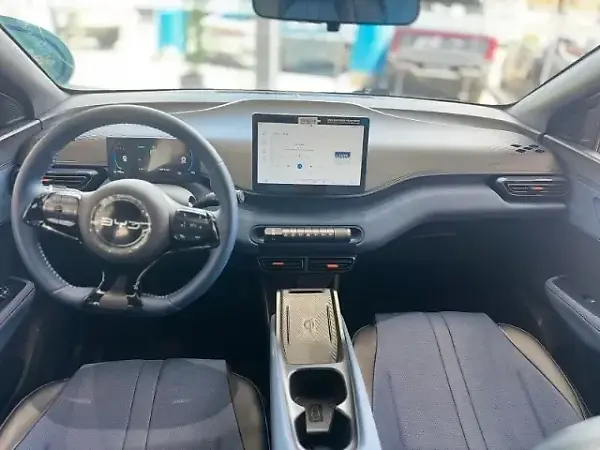 BYD Dolphin Mini - Imagem 10