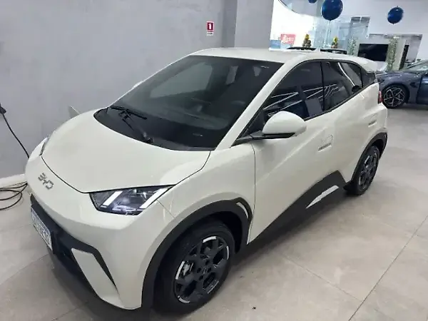 BYD Dolphin Mini - Imagem 11