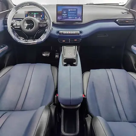 BYD Dolphin Mini - Imagem 7