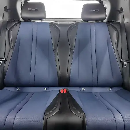 BYD Dolphin Mini - Imagem 9