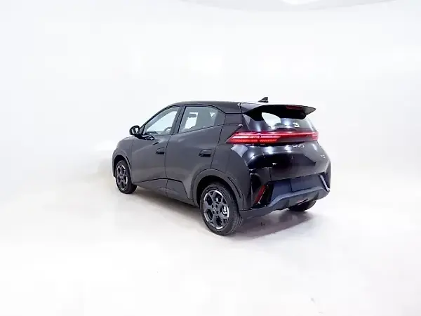 BYD Dolphin Mini - Imagem 10
