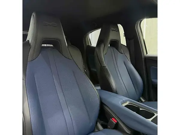 BYD Dolphin Plus - Imagem 10