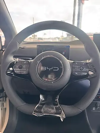 BYD Dolphin Mini - Imagem 12