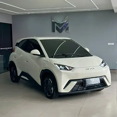 BYD Dolphin Mini - Imagem 1