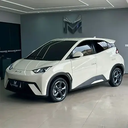 BYD Dolphin Mini - Imagem 2