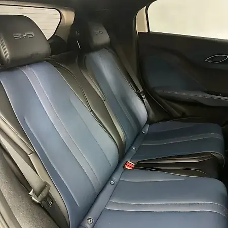 BYD Dolphin Mini - Imagem 8