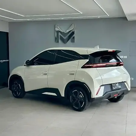 BYD Dolphin Mini - Imagem 11