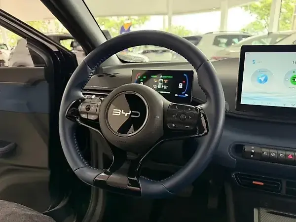 BYD Dolphin Mini - Imagem 9