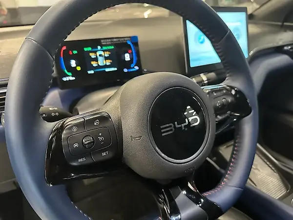 BYD Dolphin Mini - Imagem 9