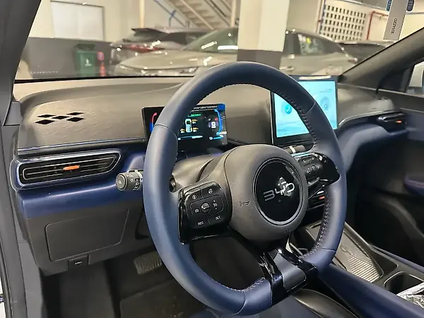 BYD Dolphin Mini - Imagem 12