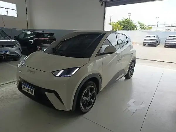 BYD Dolphin Mini - Imagem 17