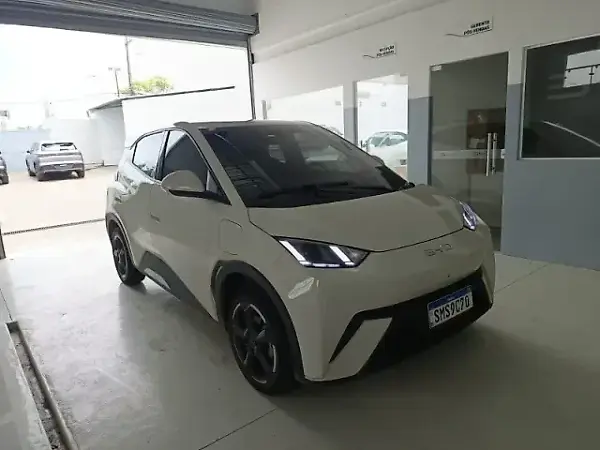 BYD Dolphin Mini - Imagem 16