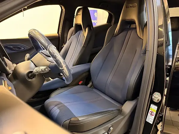 BYD Dolphin Mini - Imagem 15