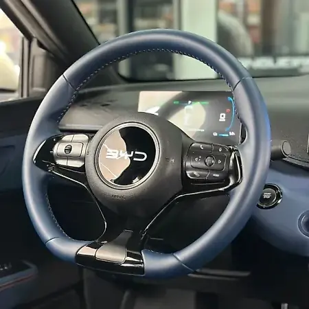 BYD Dolphin Mini - Imagem 5
