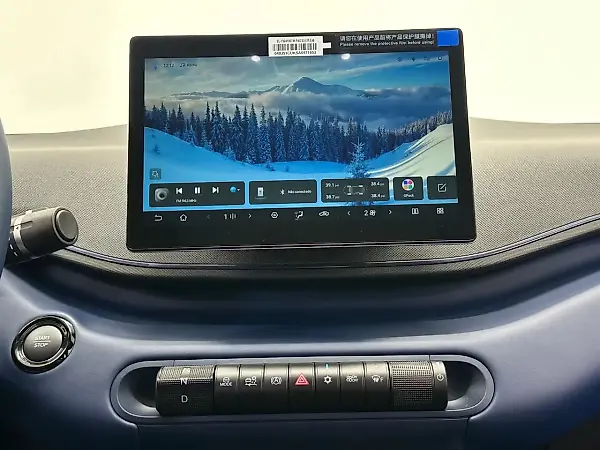 BYD Dolphin Mini - Imagem 10
