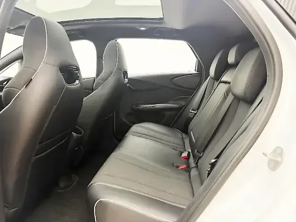 BYD Dolphin Plus - Imagem 11