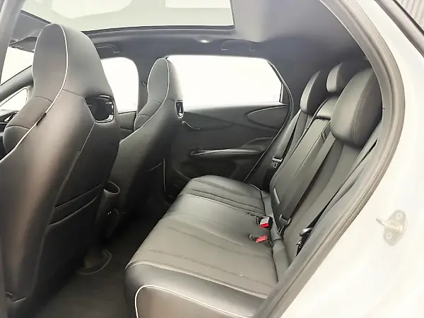 BYD Dolphin Plus - Imagem 11
