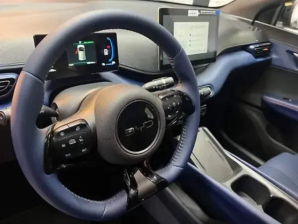 BYD Dolphin Mini - Imagem 12