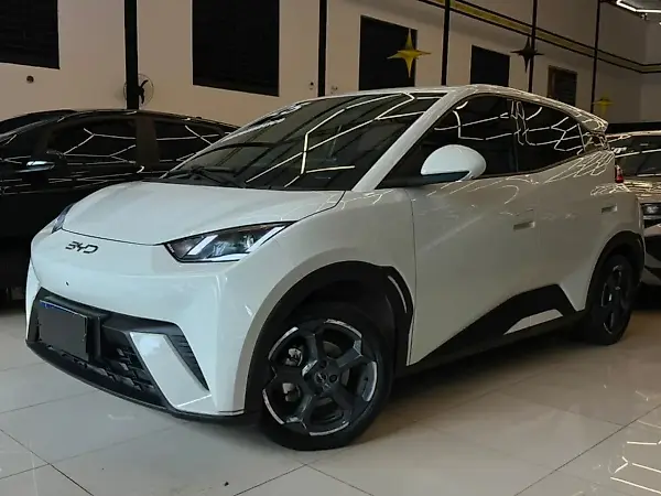 BYD Dolphin - Imagem 2