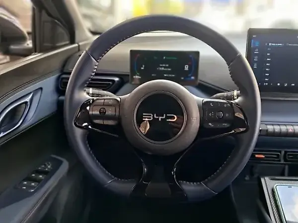 BYD Dolphin Mini - Imagem 12