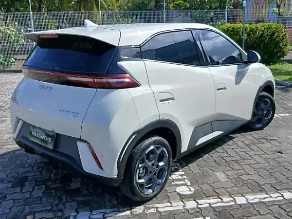 BYD Dolphin Mini - Imagem 4