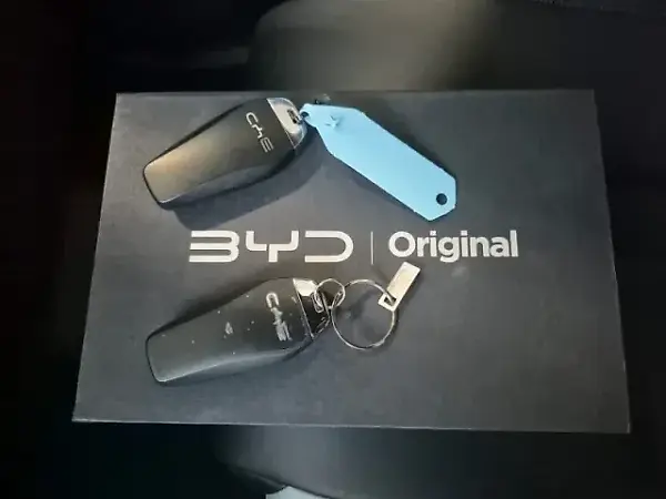 BYD Dolphin Mini - Imagem 13