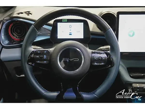 BYD Dolphin Plus - Imagem 17