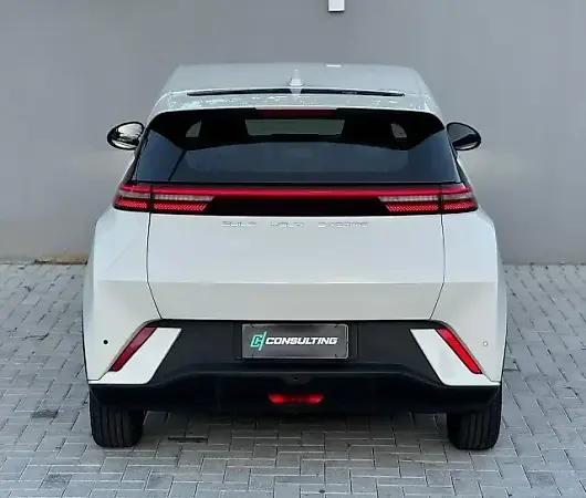 BYD Dolphin Mini - Imagem 8