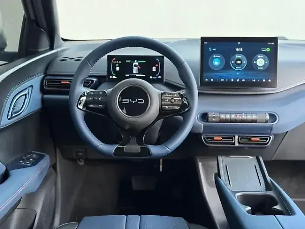 BYD Dolphin Mini - Imagem 13