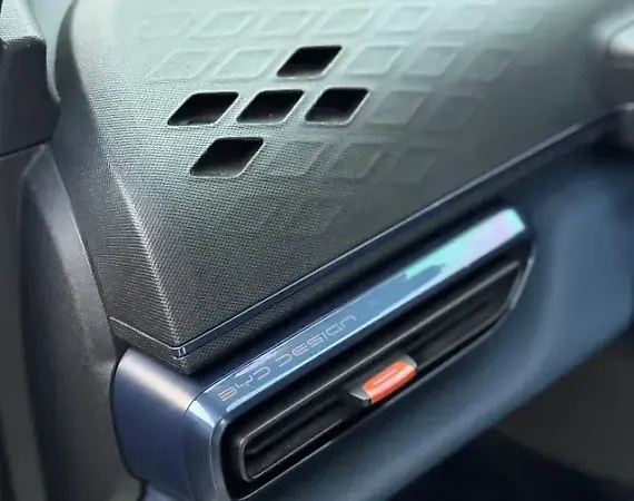 BYD Dolphin Mini - Imagem 18