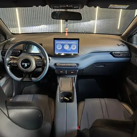 BYD Dolphin Mini - Imagem 10