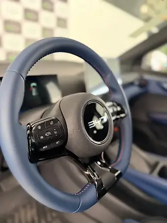 BYD Dolphin Mini - Imagem 6