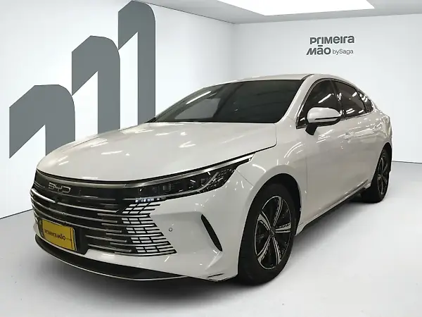 BYD King - Imagem 1