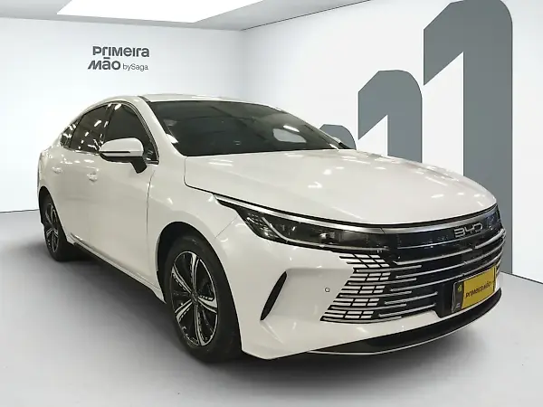BYD King - Imagem 2