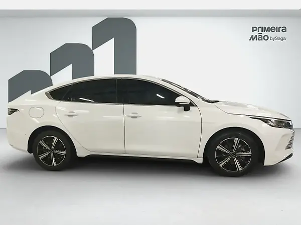 BYD King - Imagem 3