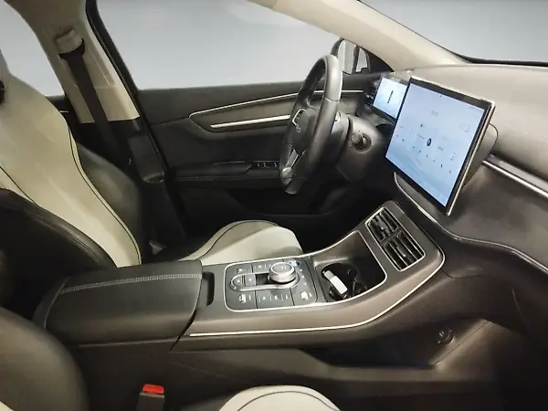 BYD King - Imagem 15