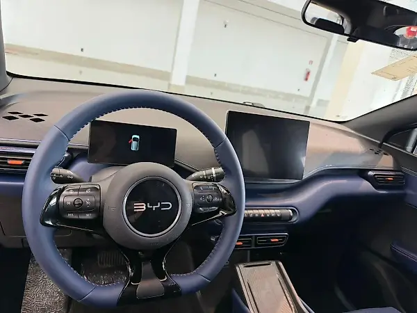BYD Dolphin Mini - Imagem 8