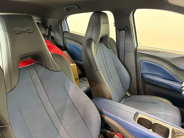 BYD Dolphin Mini - Imagem 14