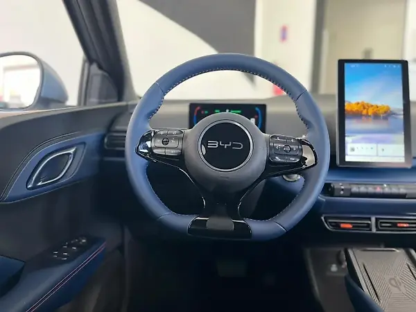 BYD Dolphin Mini - Imagem 6