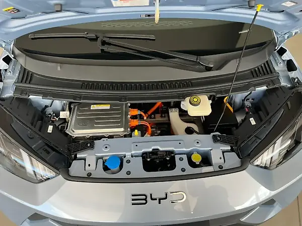 BYD Dolphin Mini - Imagem 14
