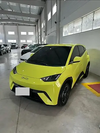 BYD Dolphin Mini - Imagem 1