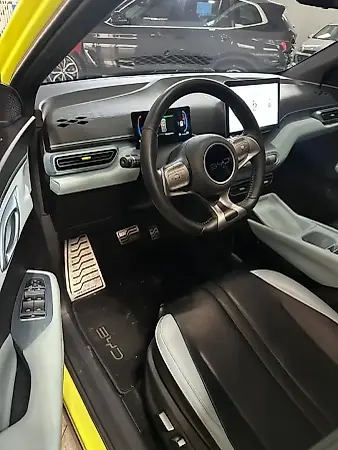 BYD Dolphin Mini - Imagem 2