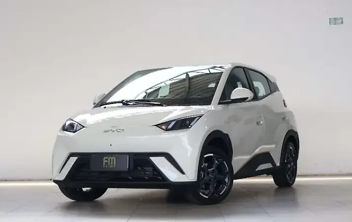 BYD Dolphin Mini - Imagem 1