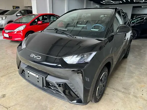 BYD Dolphin - Imagem 1