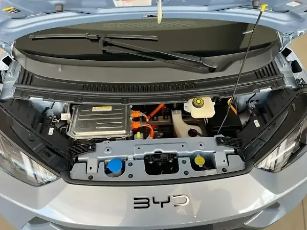 BYD Dolphin Mini - Imagem 2